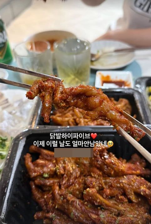 사진=안선영 SNS