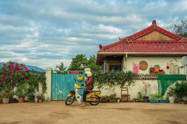 '좀비딸' 스틸. / 사진제공=NEW, 스튜디오N