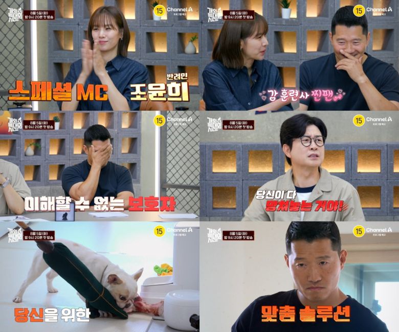 / 사진=채널A