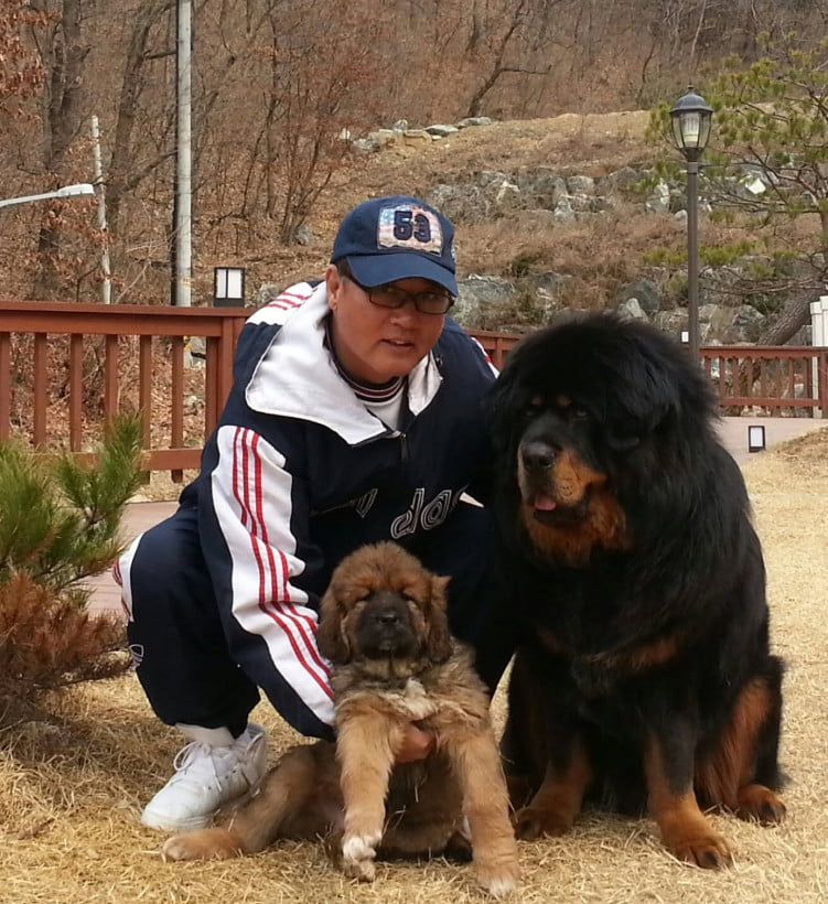 사진=안재욱 SNS