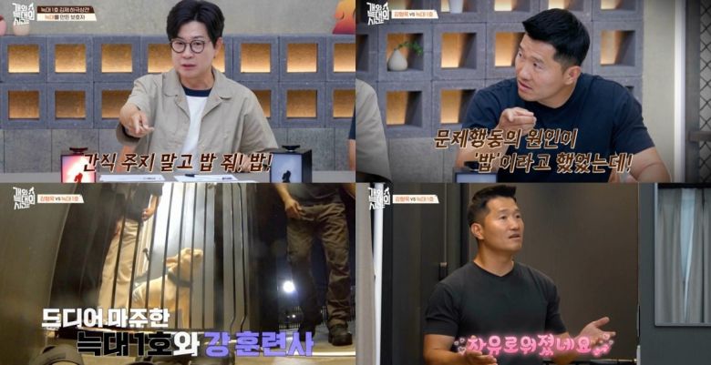 사진=채널A
