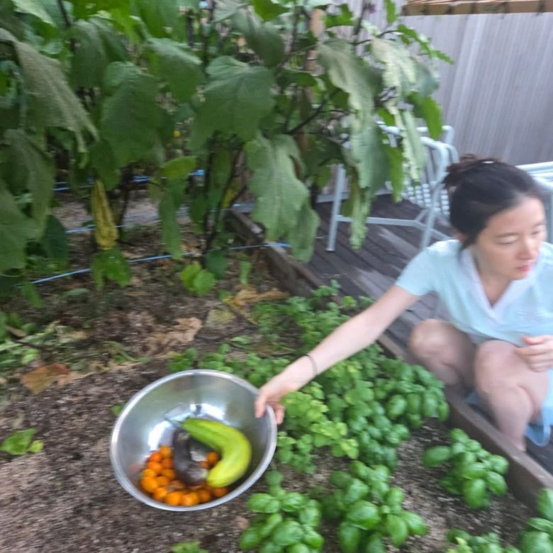 사진 = 이영애 인스타그램