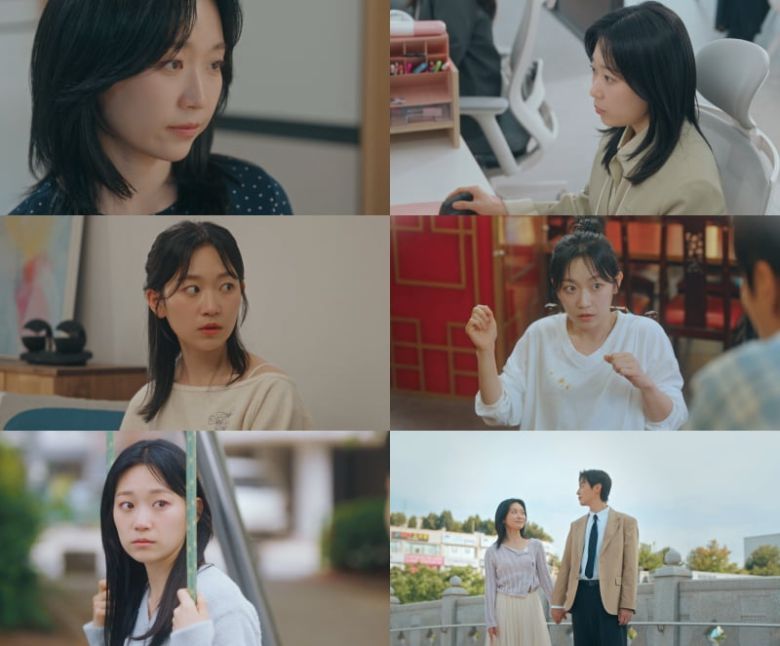 / 사진=tvN '냥육권 전쟁'