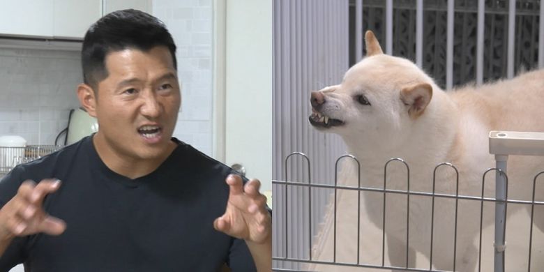 사진제공=채널A