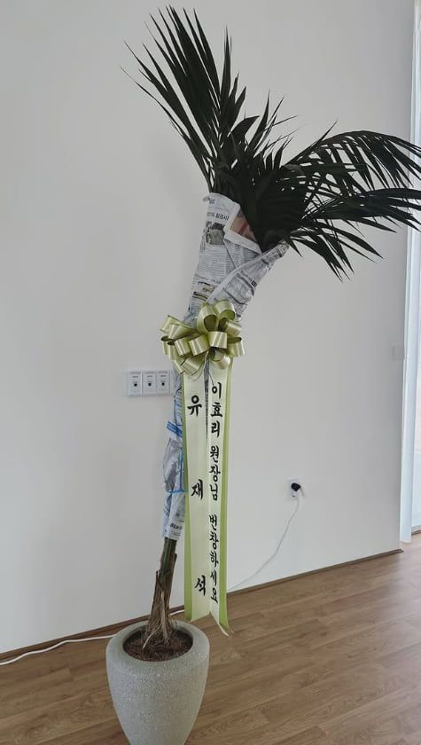 사진=아난다 요가 공식 SNS