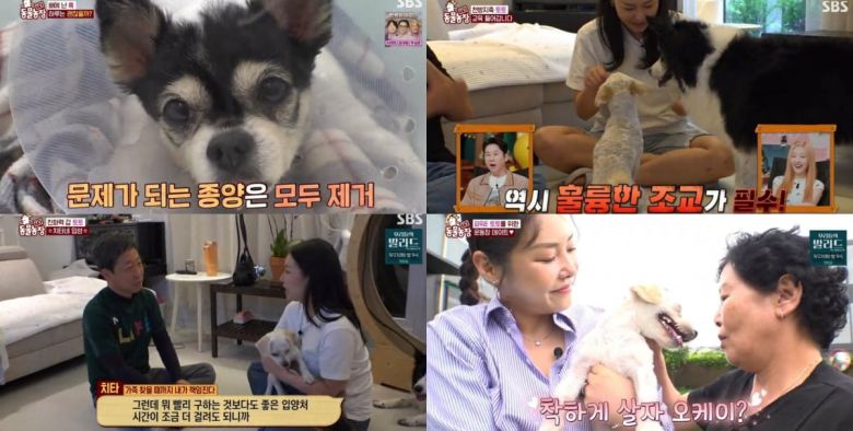 사진=SBS