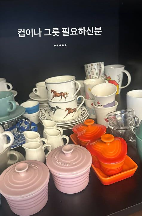 사진=안선영 SNS