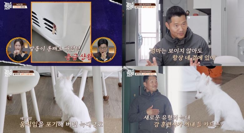 사진='개와 늑대의 시간' 캡처