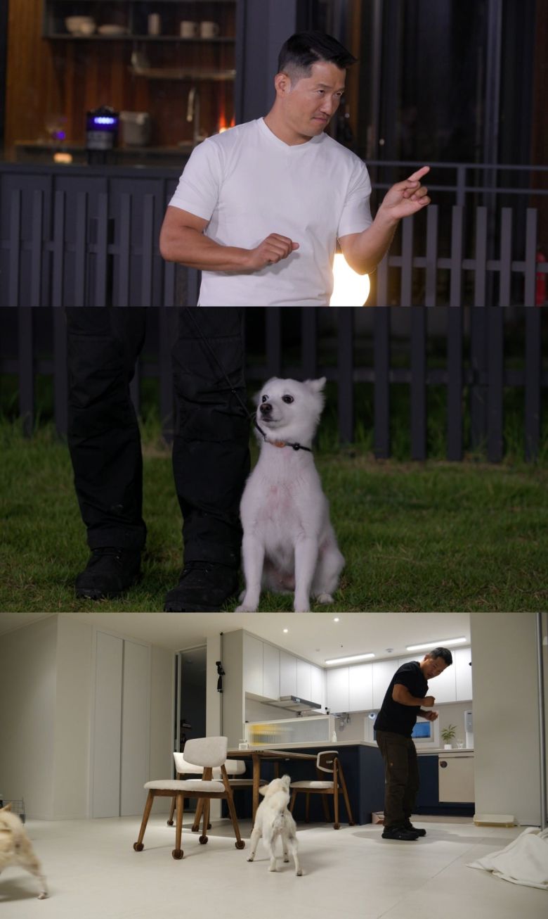 사진제공=채널A