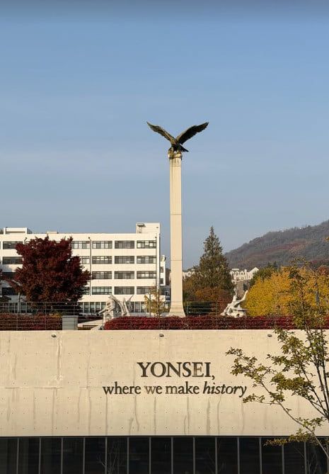 사진=손연재 SNS