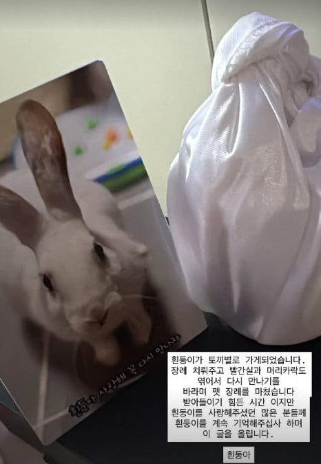 사진=조현아 SNS