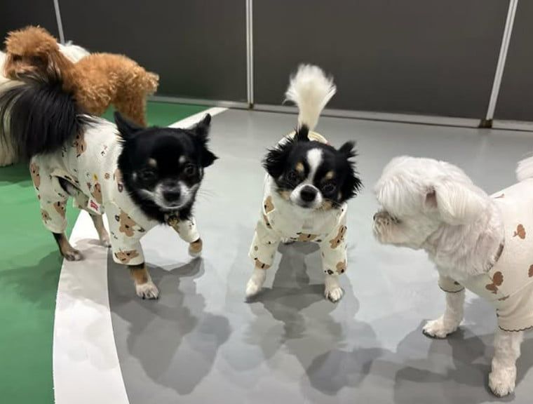 사진=김지민 SNS