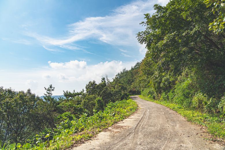 호랑산 중턱을 넘는 임도는 자전거 라이딩 코스로도 유명하다.