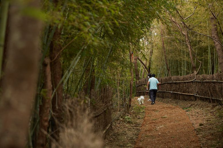 송정 해수욕장으로 이어지는 대나무길.