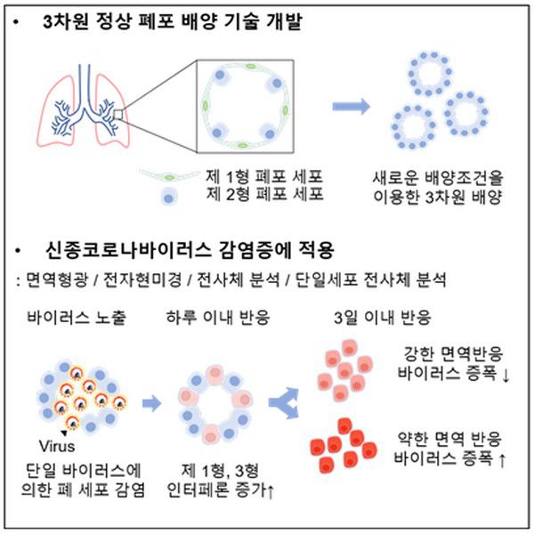 연구 요약도.(사진제공=한국과학기술원)