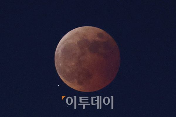 달이 지구 그림자에 가려지는 현상인 '개기월식' 현상이 진행된 8일 오후 서울 서대문구 안산에서 바라본 달이 지구 그림자에 가려지고 있다.