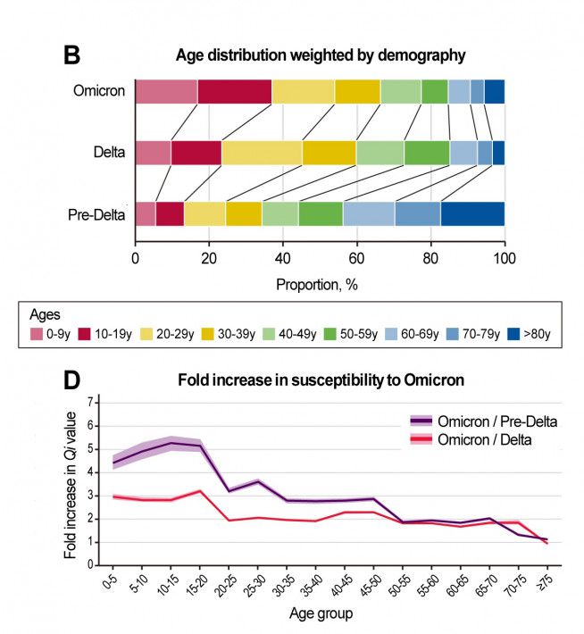 코로나 변이 바이러스에 대한 연령별 감수성.