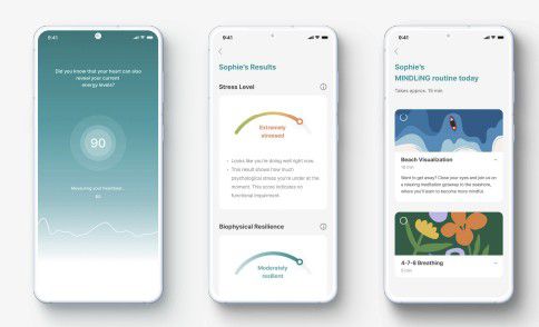 마인들링은 스마트폰 카메라를 통해 HRV(심박변동수)를 측정하고, 이를 통해 현재 스트레스 상태와 회복력을 분석해 심리케어를 제안하는 서비스를 제공한다.