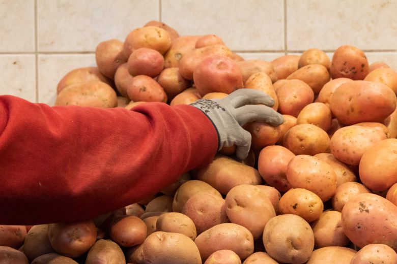 헝가리 정부가 치솟는 물가에 의한 국민 부담을 완화하기 위해 지난해 11월 계란과 감자에 대해가격 상한제를 실시했다. 이에 앞서 헝가리는 지난해 2월 이후 밀가루, 해바라기유, 우유, 닭고기 제품들을 포함한 일부 식료품에 가격 상한제를 실시한 바 있다. 사진은 헝가리 부다페스트의 지역 마트에서 판매되고 있는 감자. (신화/뉴시스)