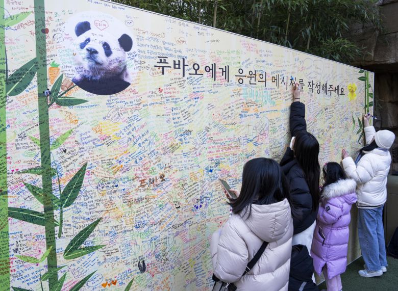 4월 중국으로 떠나는 푸바오에게 응원 메시지를 남기는  에버랜드 관람객들