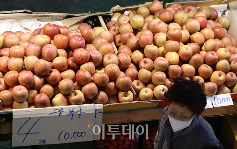 13일 경기 부천 삼산농산물 도매시장에 사과가 진열돼 있다. 고이란 기자 photoeran@