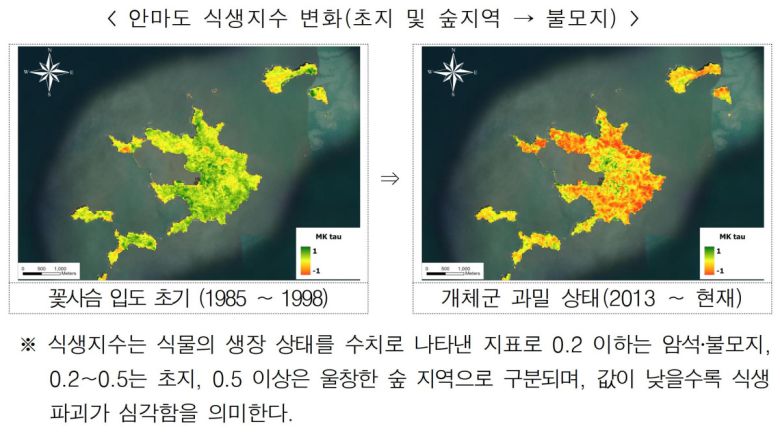 안마도 식생지수 변화.