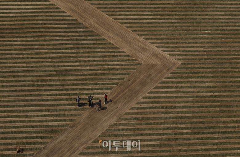 28일 21년 만에 새 단장한 서울 중구 서울광장에서 시민들이 산책을 하고 있다. 이날 서울시는 숲과 정원의 개념을 더해 문화·예술·여가·자연을 동시에 즐길 수 있는 새로운 서울광장을 1차 공개했다. 조현호 기자 hyunho@