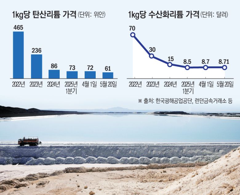 그래픽=손미경 기자 sssmk@