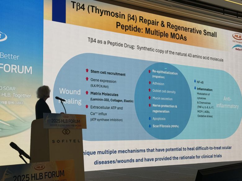 힌다 클레인만 리젠트리 CSO가 22일 오후 서울 송파구 소피텔 앰배서더 서울에서 열린 ‘2025 HLB 포럼’에서 발표하고 있다.