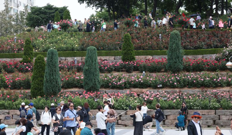 25일 경기 부천시 도당공원에서 열린 ‘부천장미축제’를 찾은 시민들이 형형색색 장미꽃을 감상하며 봄의 정취를 만끽하고 있다. 내달 8일까지 열리는 축제에선 약 20,000㎡ 면적에 151종의 장미를 만날 수 있다. 신태현 기자 holjjak@