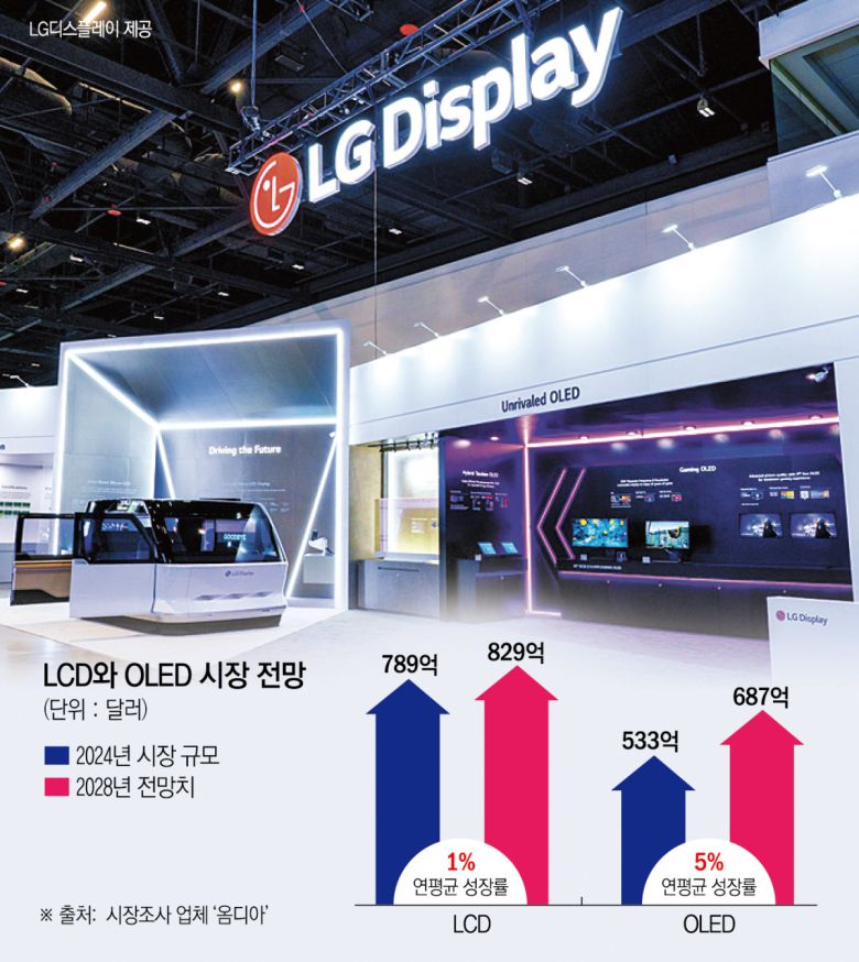 LCD와 OLED 시장 전망