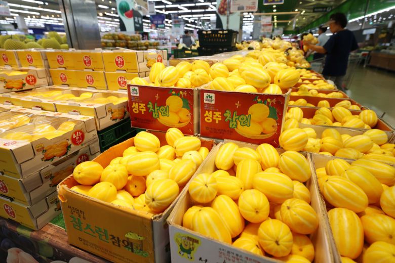 지난달 농산물과 석탄 등 에너지 가격이 하락하면서, 생산자물가가 1년 6개월 만에 가장 큰 폭으로 내렸다. 20일 한국은행에 따르면 5월 생산자물가지수는 2020년을 100으로 봤을 때, 직전 달보다 0.4% 낮은 119.66으로 집계됐다. 4월에 이어 두 달 연속 하락했으며 지난 2023년 11월 이후 가장 큰 내림폭이다. 직전 달과 비교해보면, 참외가 53%, 양파가 42% 가격이 떨어져 농림수산품이 4.4% 낮아졌고, 공산품 가운데서는 석탄·석유제품이 4.2% 하락해 생산자물가를 끌어내렸다. 이날 서울의 한 대형마트에서 시민들이 장을 보고 있다. 신태현 기자 holjjak@