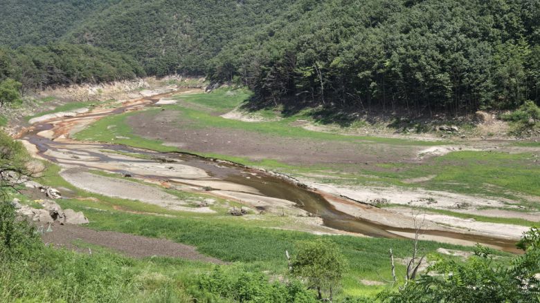 12일 강원 강릉시 주 상수원인 오봉저수지 저수율이 역대 최저치인 25.4%까지 낮아진 가운데 저수지 중·상류 지역에 잡초가 무성하다. 환경부는 이날 오전 강릉시 가뭄단계를 '경계'로 격상하고 대응에 나섰다. (연합뉴스)