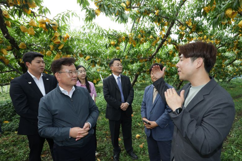 이승돈 농촌진흥청장이 18일 경북 영천시 대창면 복숭아 농장을 찾아 막바지 수확이 진행 중인 복숭아 농장을 둘러보고 있다.