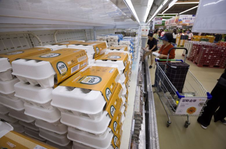 서울 시내의 한 대형마트에 계란 제품이 진열돼 있다.