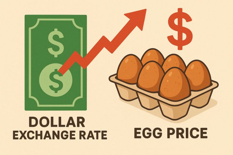 달러와 계란 가격의 상관 관계