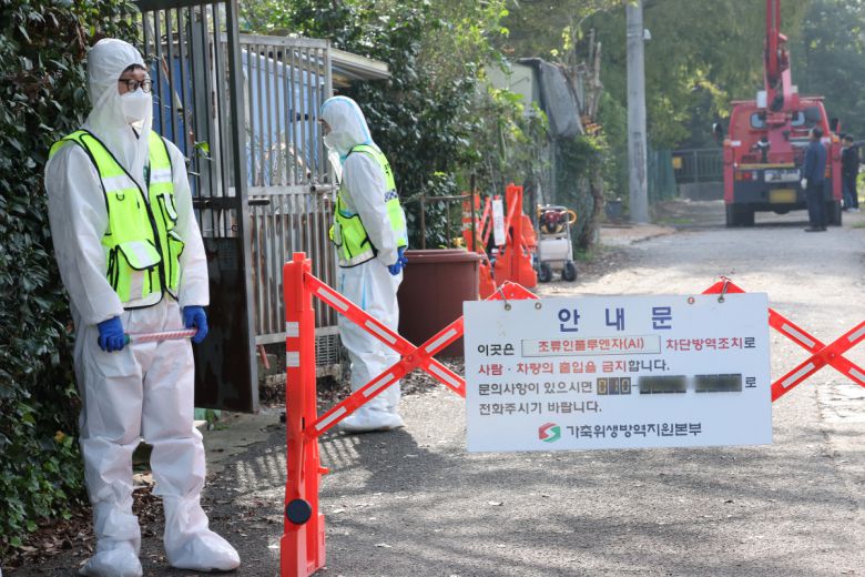 10월 22일 조류인플루엔자(AI)가 발생한 광주 남구 한 기러기 농장 인근에서 방역 당국이 출입을 통제하고 있다. 농림축산식품부는 전날부터 'AI 긴급행동지침'에 따라 해당 농장에 초동 대응팀을 투입해 출입을 통제하고 살처분과 역학조사 등 방역 조치를 하고 있다.