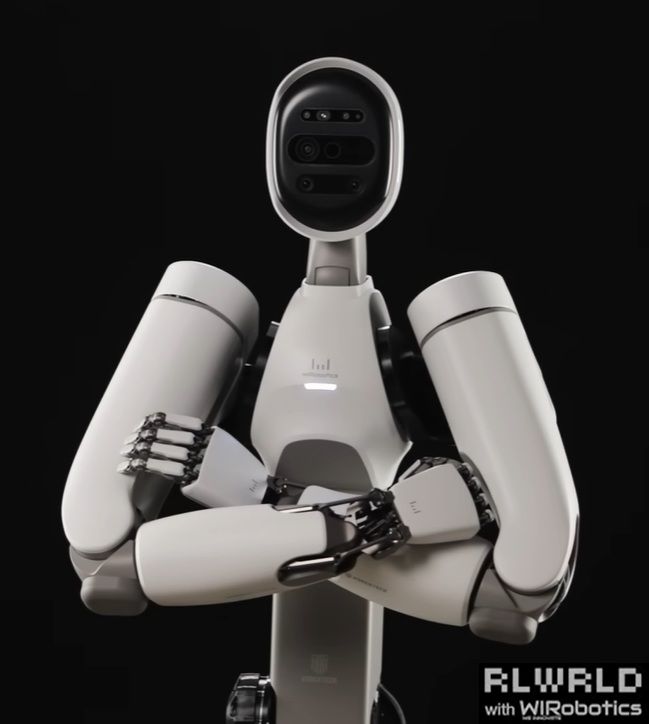 리얼월드 휴머노이드 로봇.