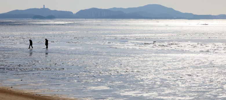 절기상 대한(大寒)이자 서울 아침 최저기온이 영하 13도를 기록하는 등 전국에 한파특보가 내려진 20일 인천 강화군 동막해변이 얼어붙어 있다. 신태현 기자 holjjak@