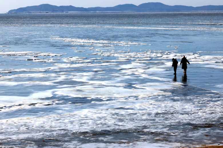 절기상 대한(大寒)이자 서울 아침 최저기온이 영하 13도를 기록하는 등 전국에 한파특보가 내려진 20일 인천 강화군 동막해변이 얼어붙어 있다. 신태현 기자 holjjak@