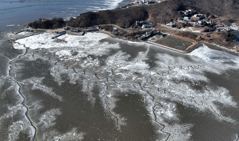 절기상 대한(大寒)이자 서울 아침 최저기온이 영하 13도를 기록하는 등 전국에 한파특보가 내려진 20일 인천 강화군 분오리항 앞바다가 얼어붙어 있다. 신태현 기자 holjjak@