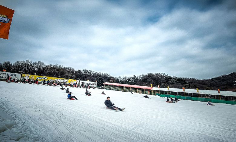 서울랜드 눈썰매장 이미지