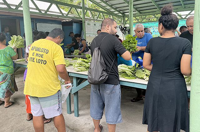 ▲ 푸나푸티의 'Happy friendship garden'(행복한 우정의 정원)에서 주민들이 구매할 채소를 고르고 있다. ⓒ외교부 공동취재단(=투발루)