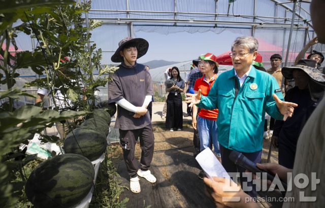 ▲수박 수직재배 현장 평가회ⓒ구례군