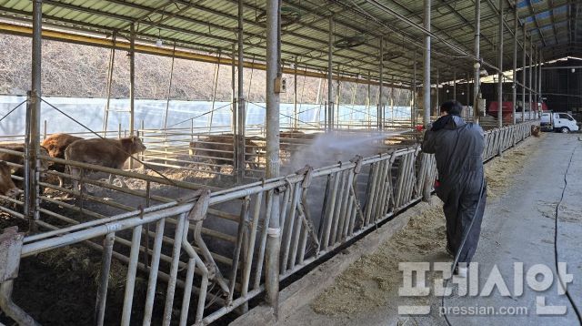 ▲축사 방역 소독ⓒ순천시