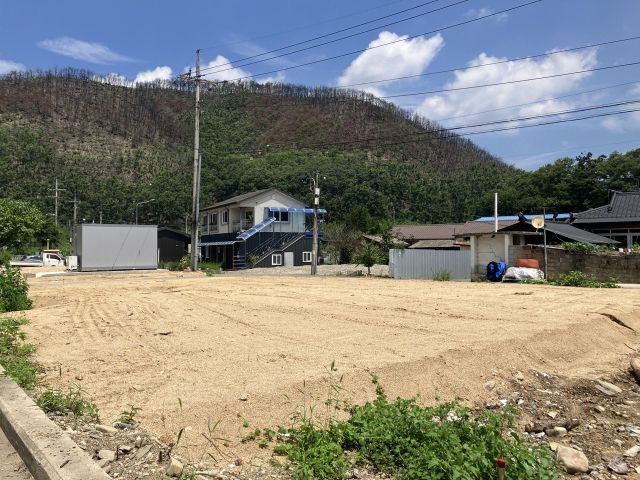 ▲단촌면 구계1리의 전소된 집터들. 마을 뒤 불에 탄 산이 아직 복구되지 않은 채 검게 남아 있다. ⓒ프레시안(손가영)