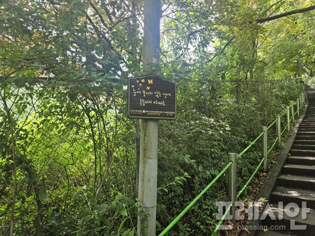 ▲제석산 구름다리로 올라가는 등산로에는 위로의 문구와 정신겅강복지센터, 자살예방상담전화 등이 표기되어 있지만 추락 사고는 끊이지 않고 있다.2025.06.25ⓒ프레시안(김보현)