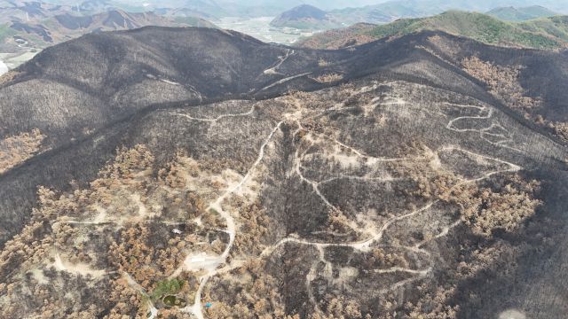 ▲지난 4월 드론으로 촬영된 경북 의성군 점곡면 동변리 인근 산 풍경. ⓒ정정환(지리산사람들)