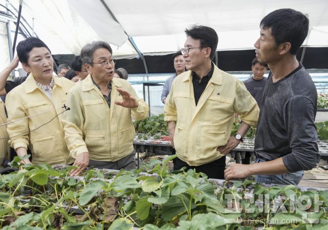 ▲김민석 국무총리가 역대급 폭우로 침수피해를 입은 광주 북구 하신마을 딸기농장에서 호우피해 현장점검을 하고 있다.2025.07.20ⓒ광주광역시