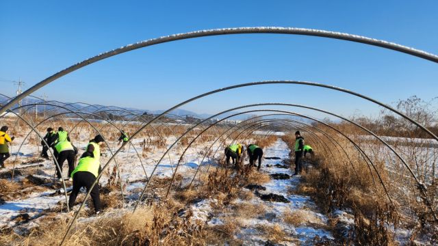 ⓒ농협 강원지역본부